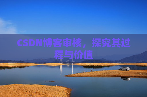 CSDN博客审核，探究其过程与价值